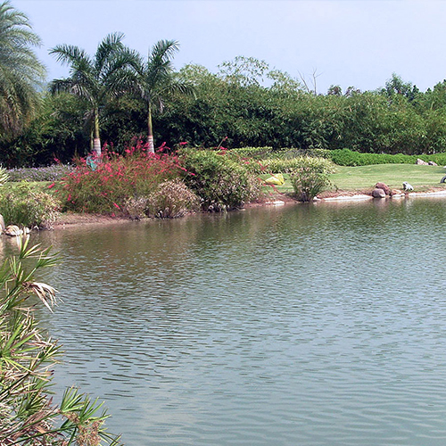 Ecopond @ Sripuram